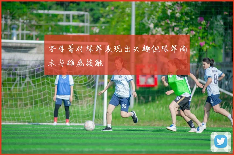 字母哥对绿军表现出兴趣但绿军尚未与雄鹿接触